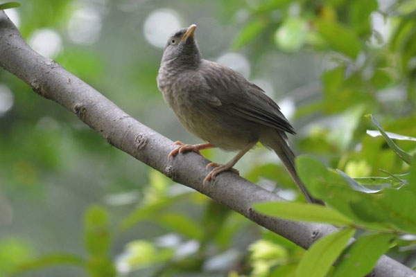 चित्र : राजेंद्र तिवारी Photo : Rajendra Tiwari